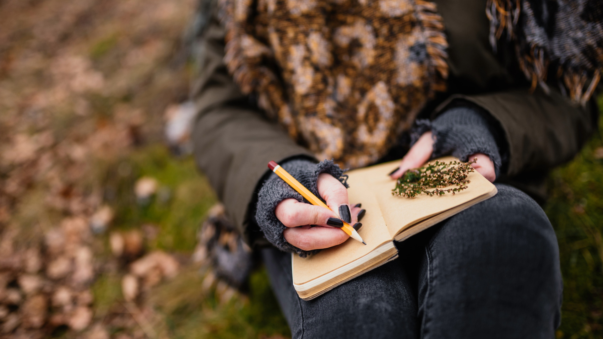 Nature Journaling: Field Sketching & Close Observation | Illinois ...