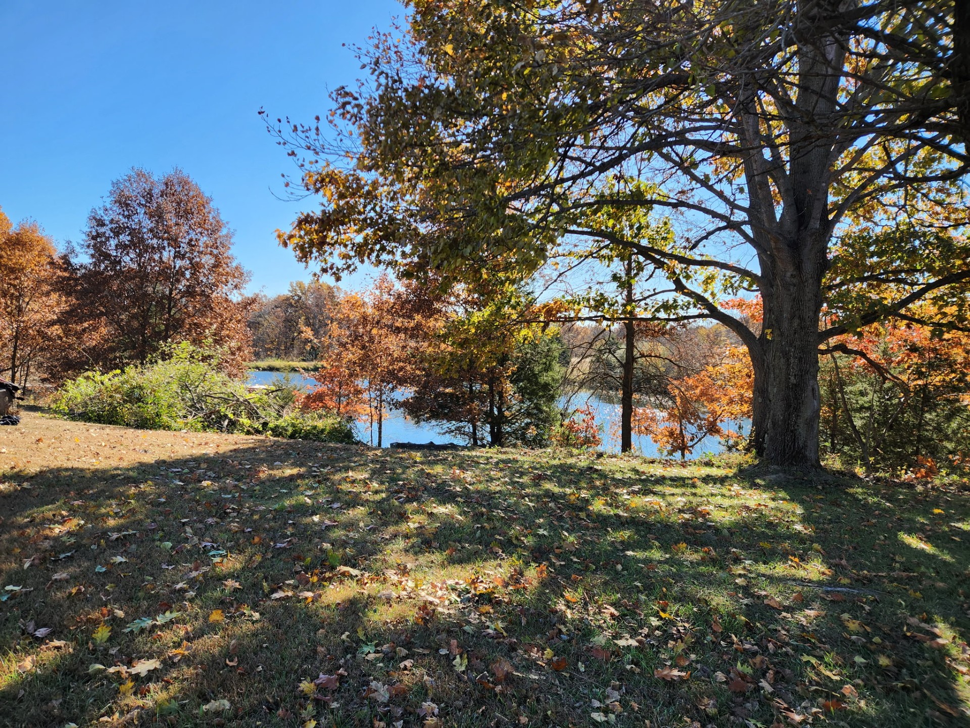 view of lake throught the trees