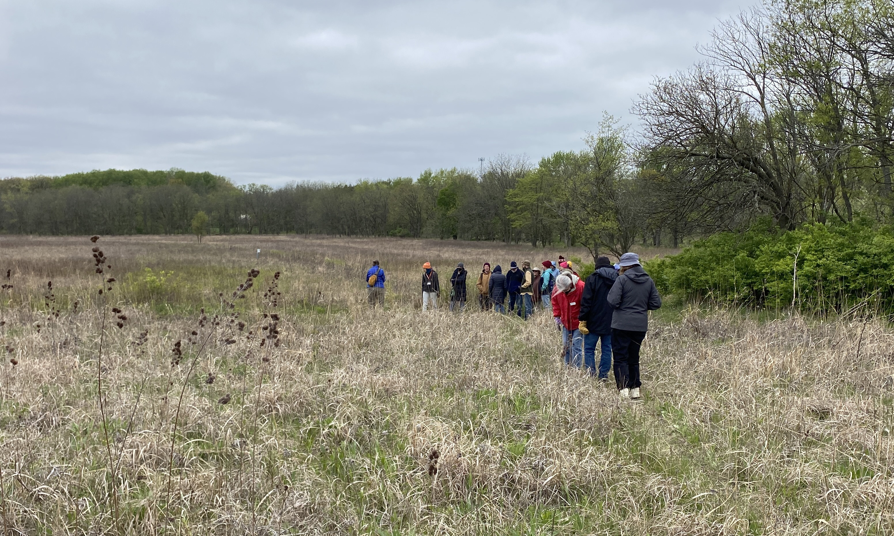 People in a field