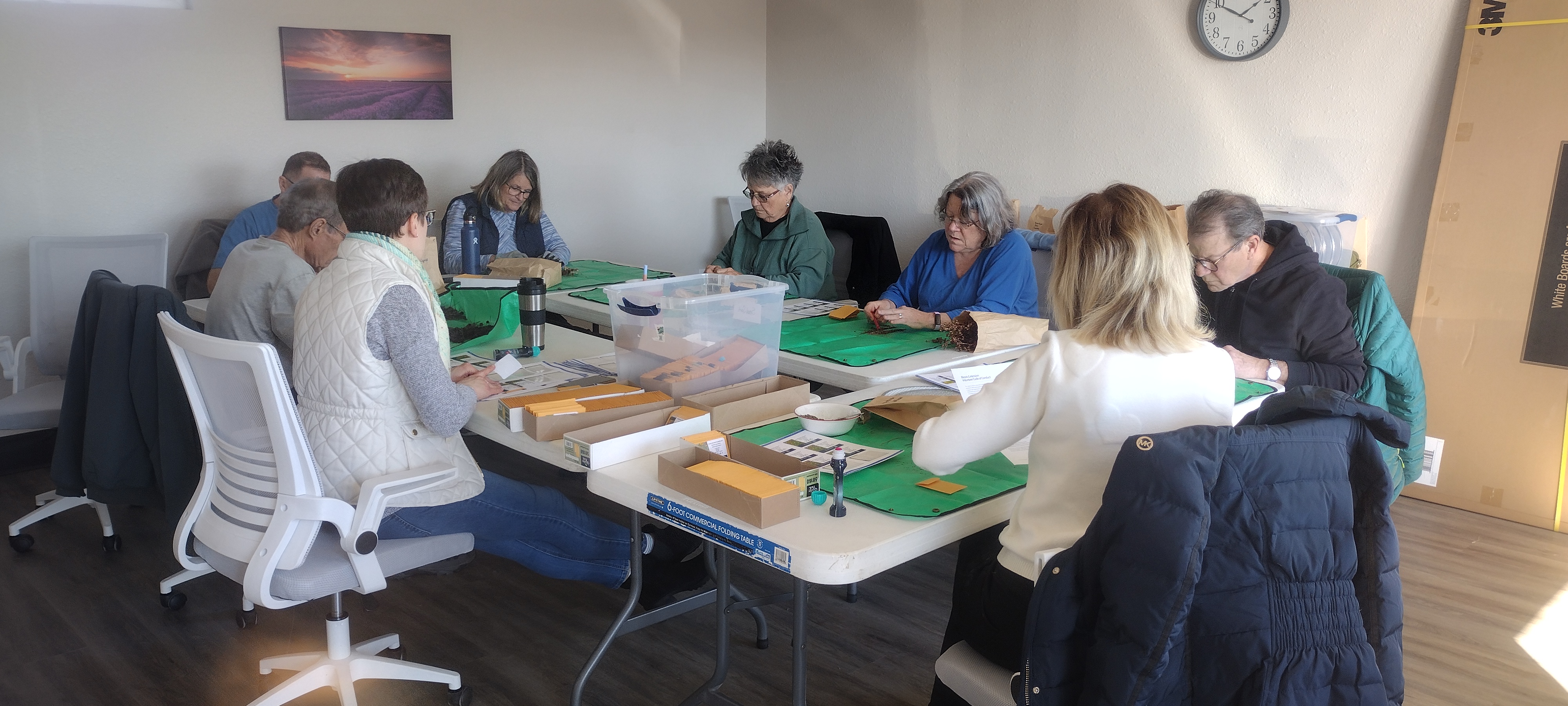 people at a table sorting seeds