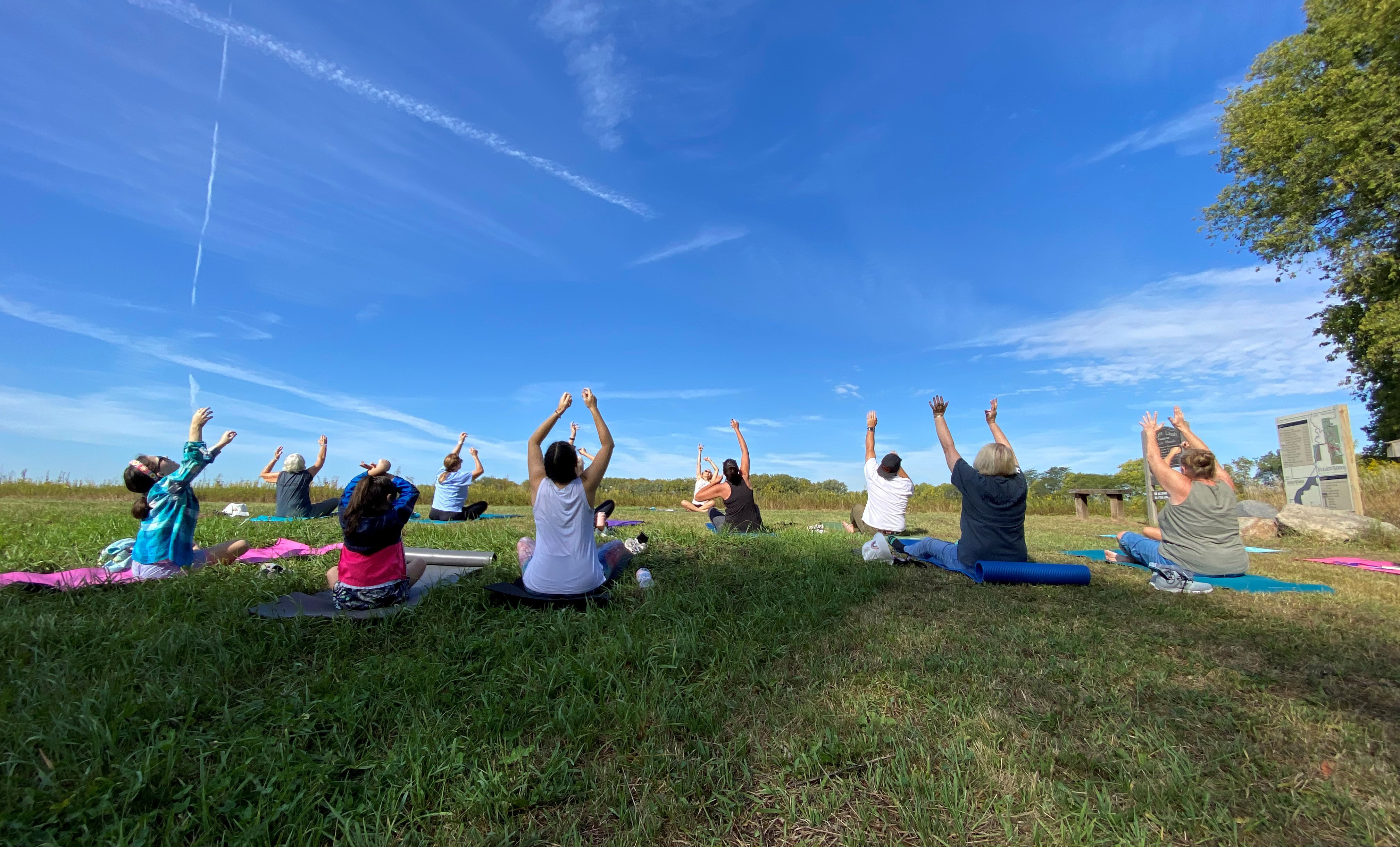 A group of people do yoga outdoors