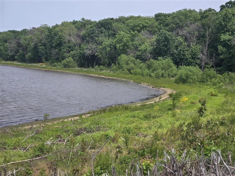 A natural area with a pond