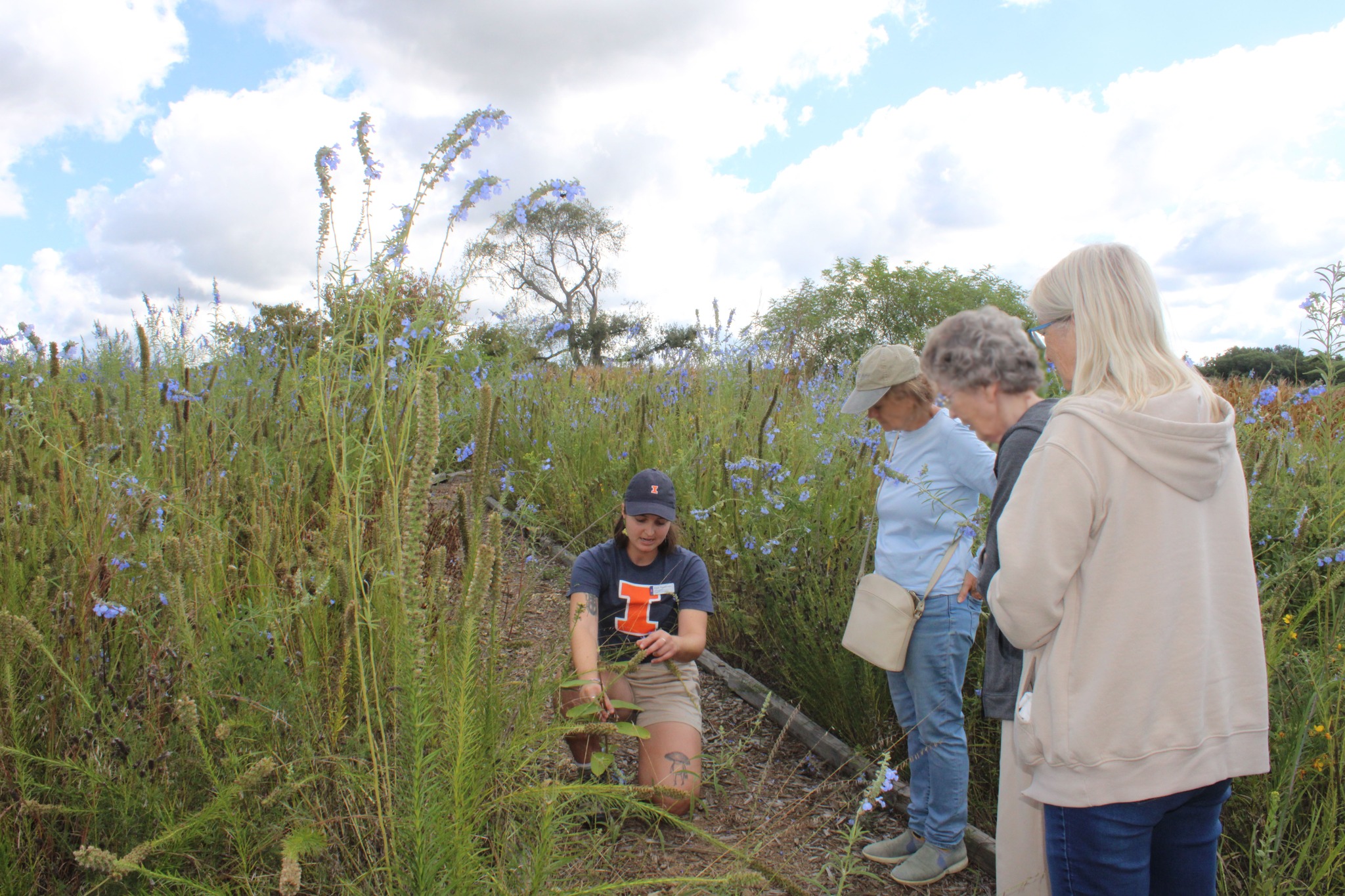 A woman in a prairie talks to others