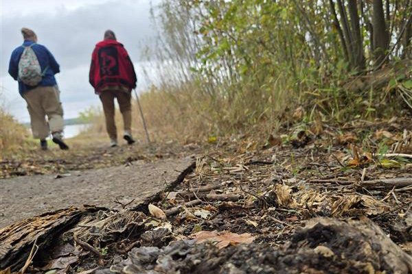 Two people walk along a path