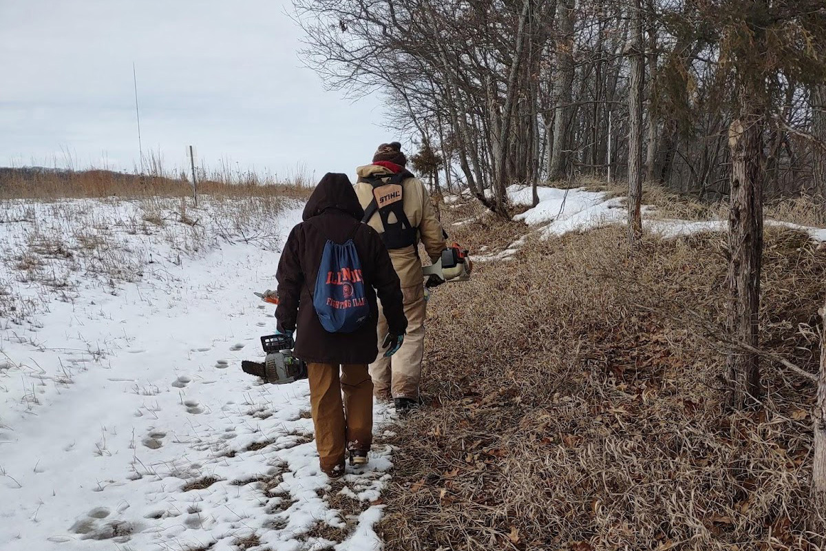 People walk in nature on a snowy day