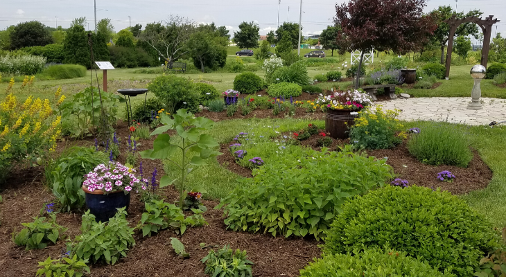 herb garden at Illinois State University horticulture center