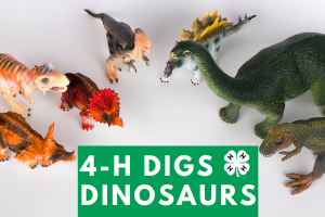 4-h digs dinosaurs graphic
