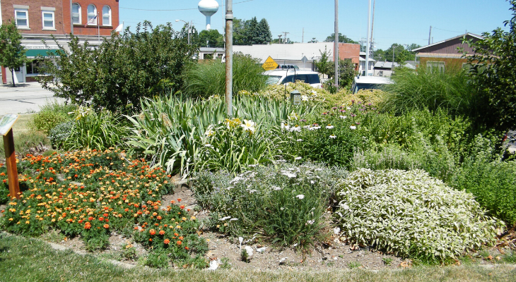ornamental plants in foreground of buildings in downtown eureka illinois