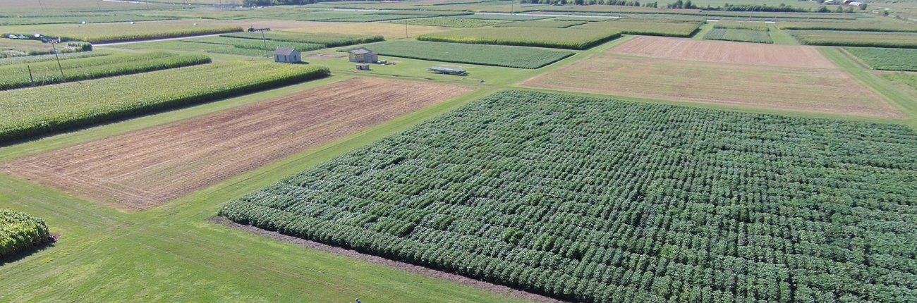 aerial image of University of Illinois research fields