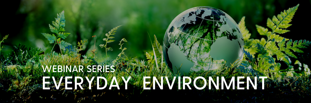 Everyday Environment globe sitting in green grass