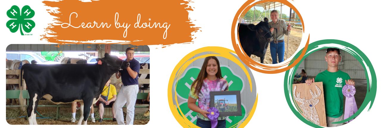 Learn by doing, 4-H youth with their projects