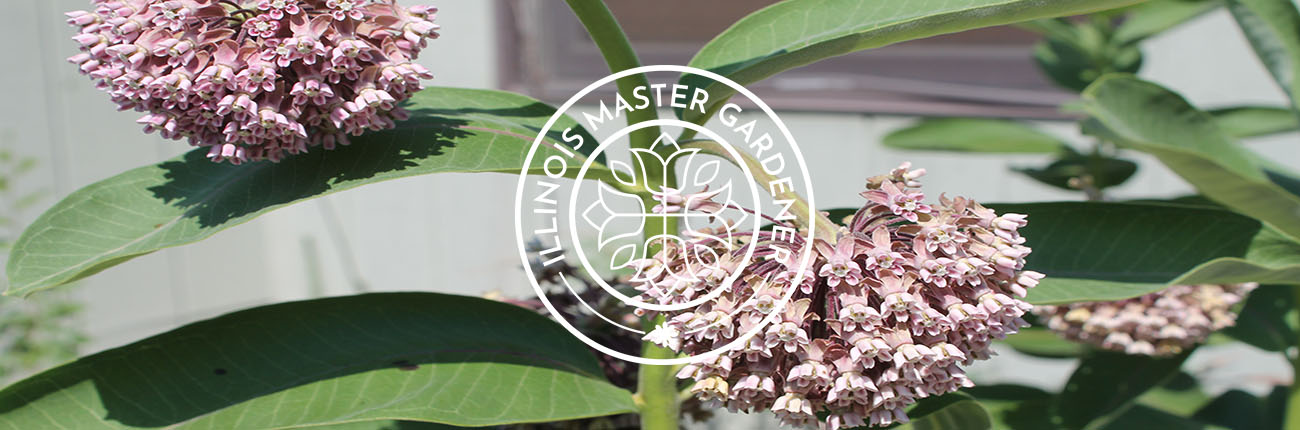 Master Gardener logo with milkweed