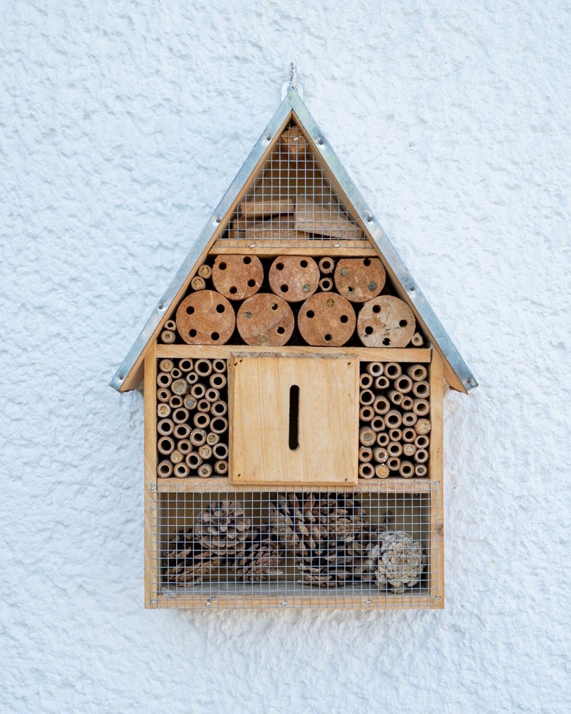 bee hotel with hollow tubes shown, which solitary bees use to lay eggs/nest