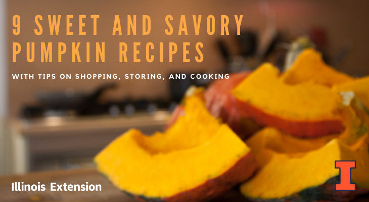 Sweet and savory pumpkin recipes with tips on shopping, storing, and cooking