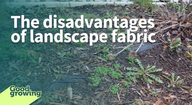 The Disadvantages Of Landscape Fabric, Natural Weed Block Landscape Fabric