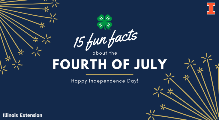 navy background with illustration of fireworks