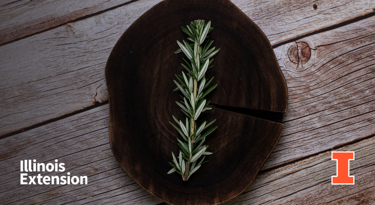 A sprig of rosemary set on a round dark wood slice on top of a wooden table. Contains orange I block logo and Illinois Extension wordmark.
