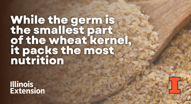 Add valuable nutrients to the diet with wheat germ | Simply Nutritious ...
