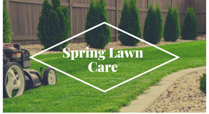 Spring lawn care with mower in landscape