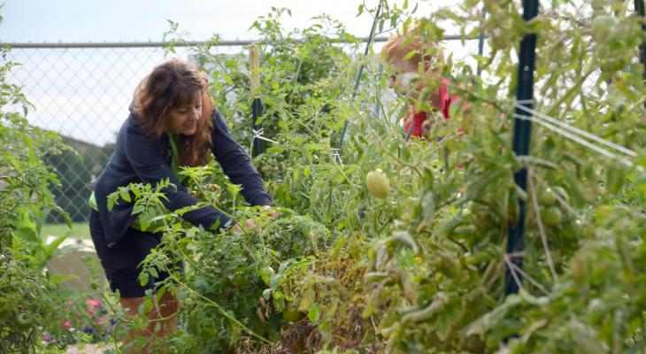 The Benefits of Home Gardening