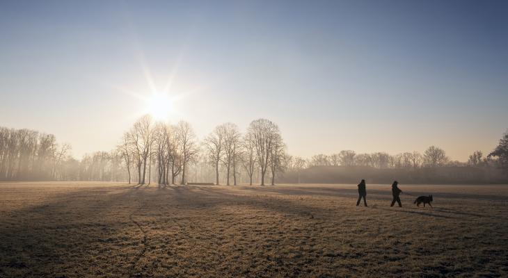 man and woman walk dog as sun sets over frosty field