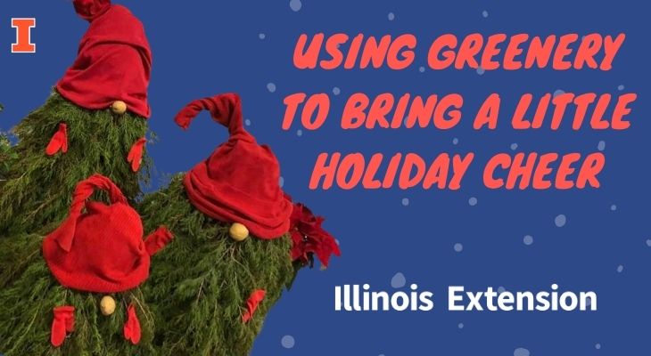 Using Greenery to Bring a Little Holiday Cheer