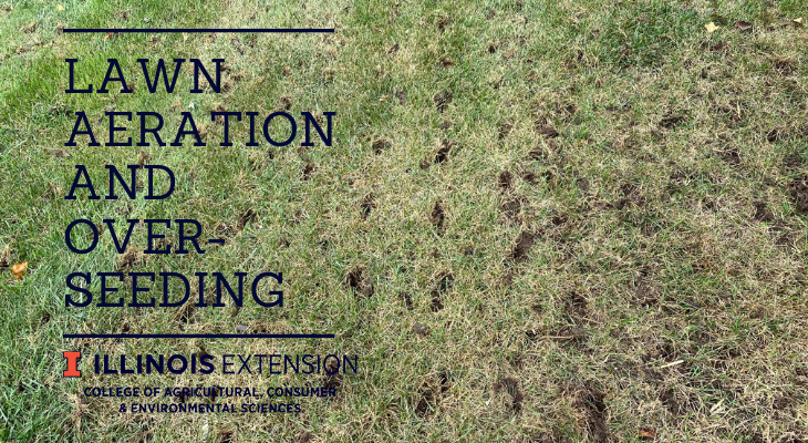 holes in lawn due to core aeration