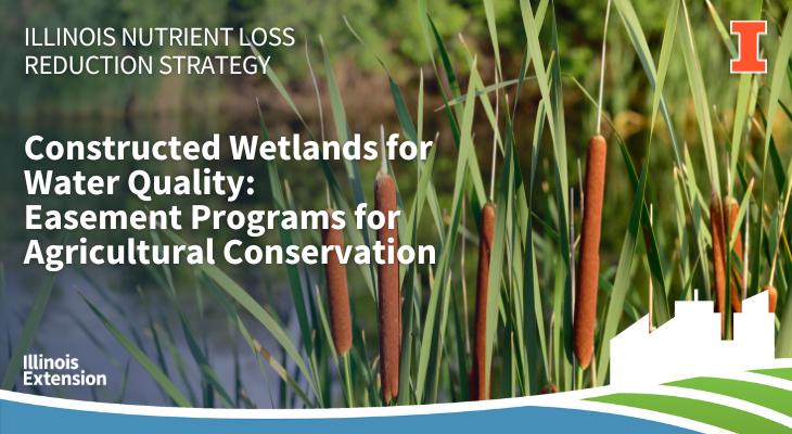 Constructed wetlands for water quality: Easement programs for ...