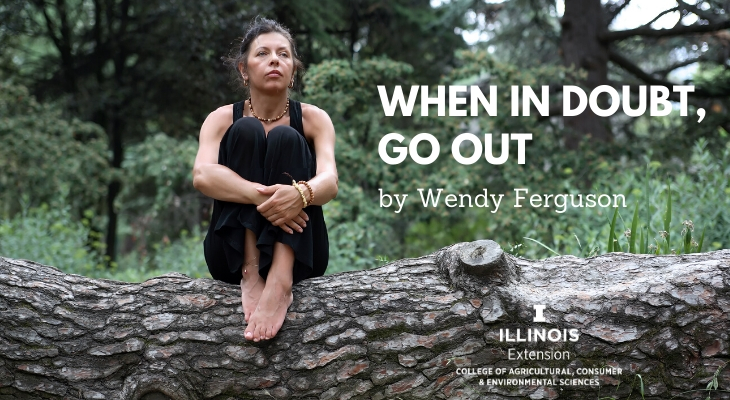 When in doubt, go out, outside, that is | Naturalist Notebook ...