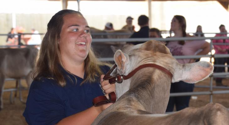 4-H teen in arena with cow