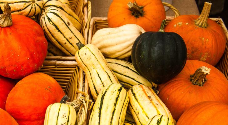 Red kuri, delicata, and acorn squash in wicker baskets with pie pumpkins.