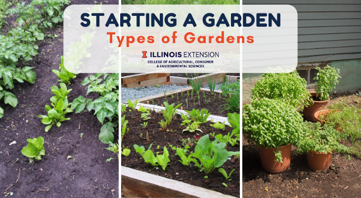 lettuce and potatoes in an in-ground garden, vegetables in a raised bed, and herbs in pots
