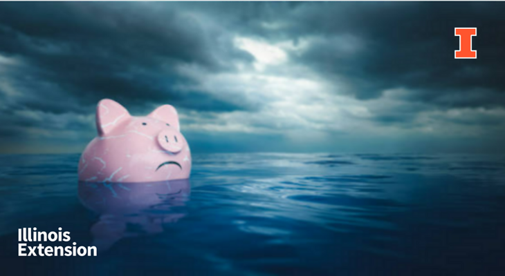 Piggy bank floating in ocean with cloudy weather with Illinois Extension I Block logo in top right corner and wordmark in bottom left corner