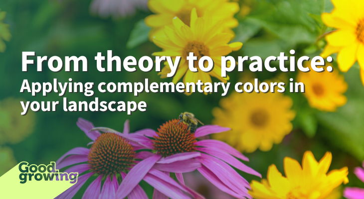 From theory to practice: Applying complementary colors in the landscape ...