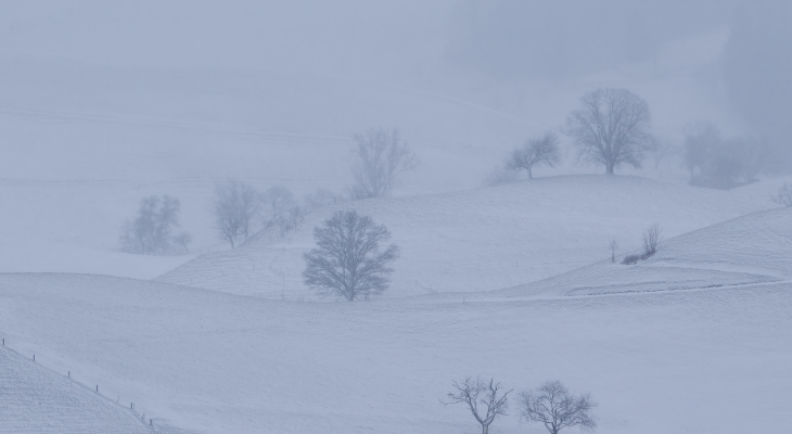snow-covered polar vortex rural scene with trees