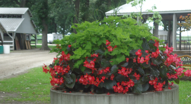 container planter placed at 4h park pontiac illinois