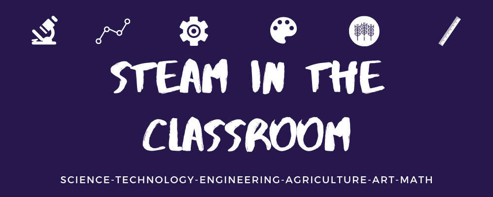 STEAM in the Classroom