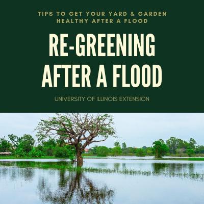 re-greening after a flood poster
