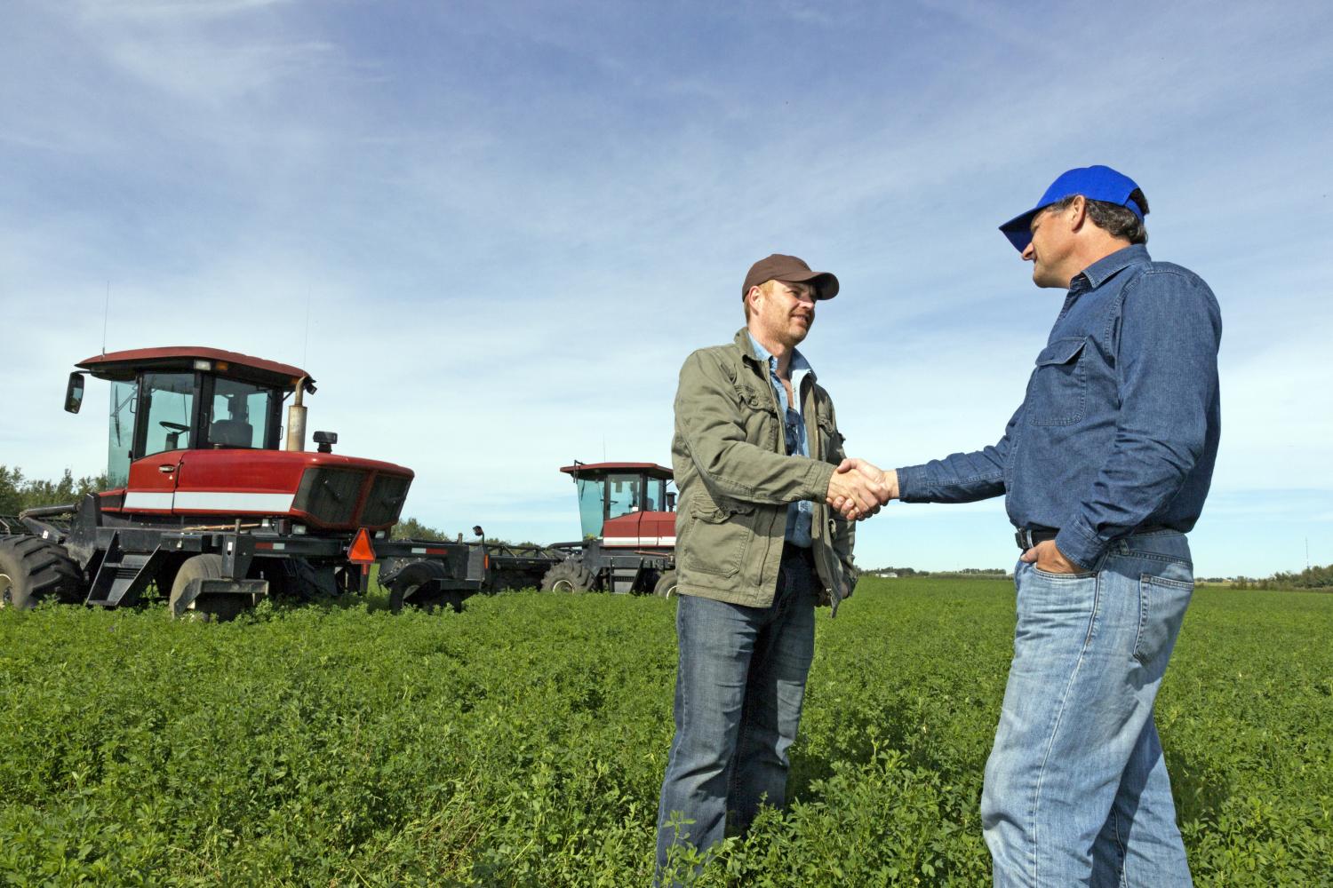 Two farmers shake hands in a field