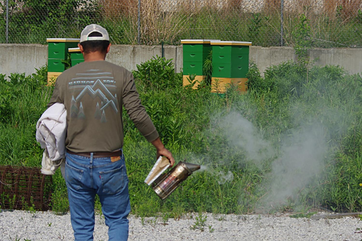 Back view of a man with a smoker in his hand approaching urban beehives