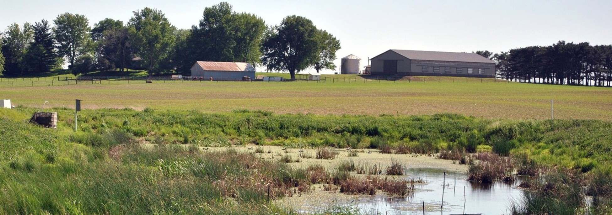 Wetland by barn