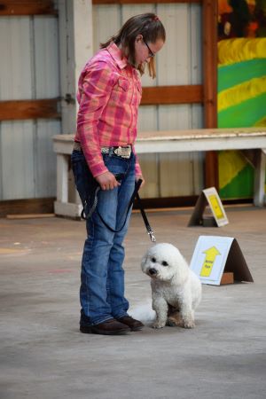 4-H girl and her dog