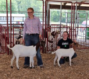 4-H exhibitors in the goat show ring