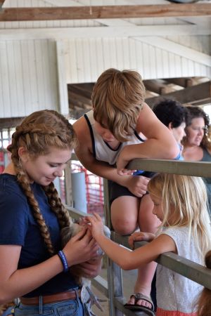 4-H girl showing younger kids her rooster