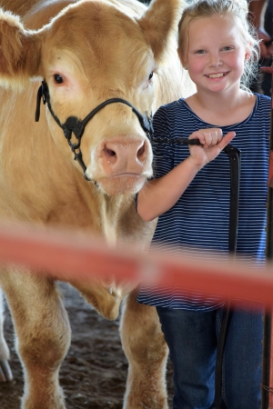 knox 4-h girl with her heifer