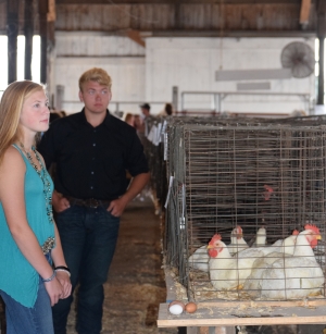 4-H exhibitors showing poultry in the show barn