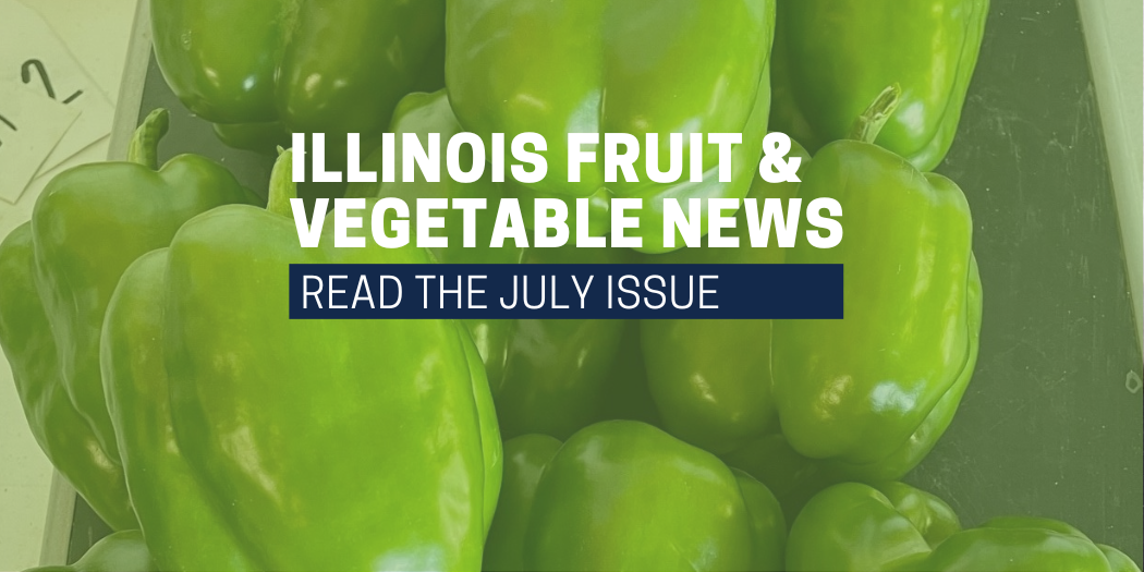green peppers Illinois Fruit and Vegetable Newsletter