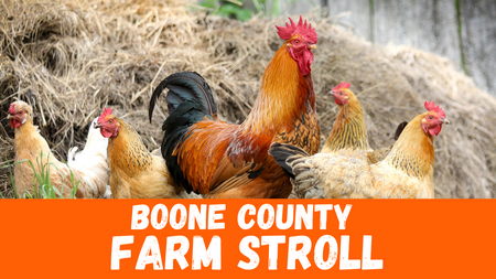 Boone County Farm Stroll