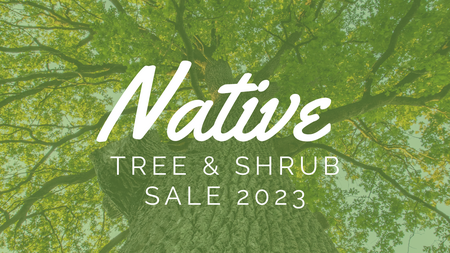 Native Tree & Shrub Sale 2023