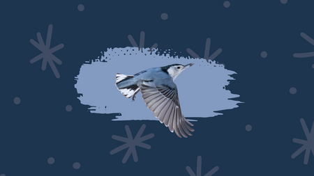 A blue bird flying with graphics of snowflakes behind it.